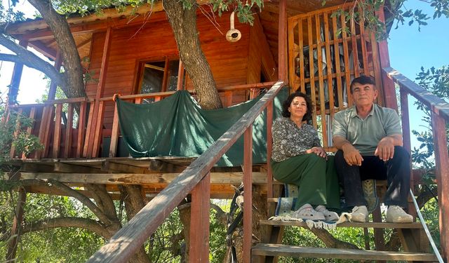 150 Yıllık Meşe Ağacına 36 Metrekarelik Yuva