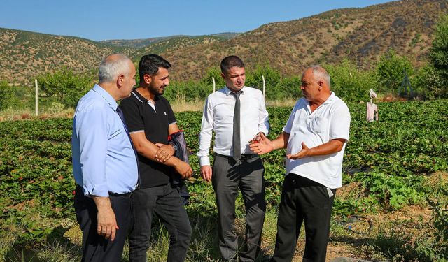Üreticiden Örnek Hamle: Kayısının Yanına Çilek ve Salep