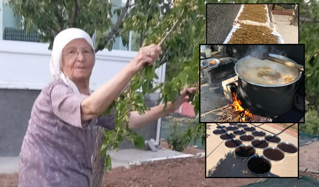 85’lik Çiftten Örnek Azim: Dutlar Heba Olmuyor