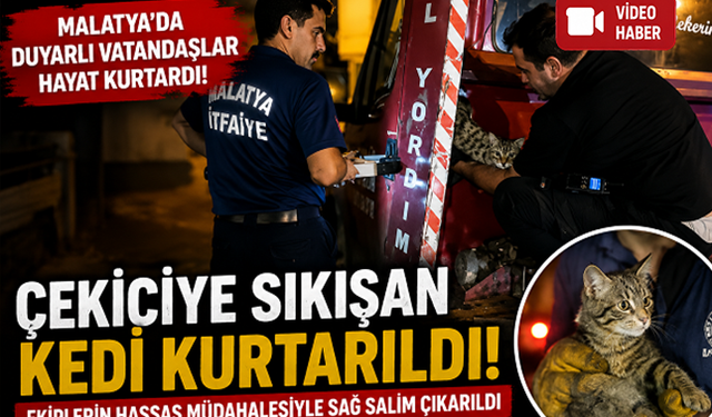 Malatya’da Çekiciye Sıkışan Kedi Kurtarıldı