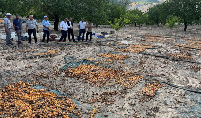 Vatandaş artık vaat değil, somut destek bekliyor