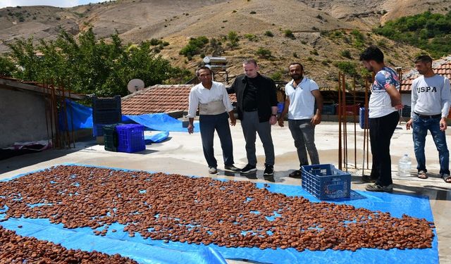 Hekimhan’da Sel Felaketi: Kayısı Üreticisi Zor Durumda