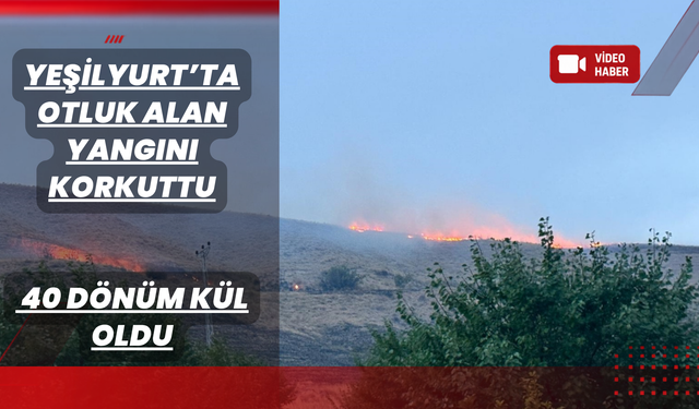 170 Dönümlük Sahada Yangın: 40 Dönüm Kül Oldu