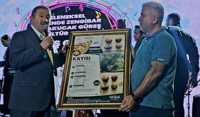 Darende’nin Değeri Zengibar Cevizi Öne Çıkıyor
