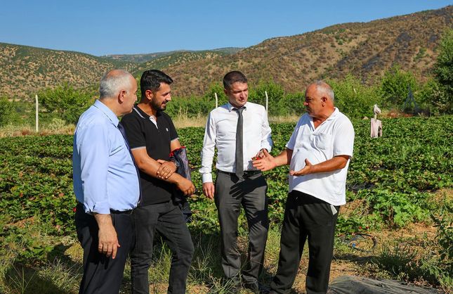 Üreticiden Örnek Hamle: Kayısının Yanına Çilek ve Salep