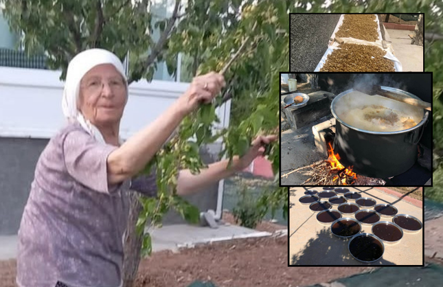 85’lik Çiftten Örnek Azim: Dutlar Heba Olmuyor