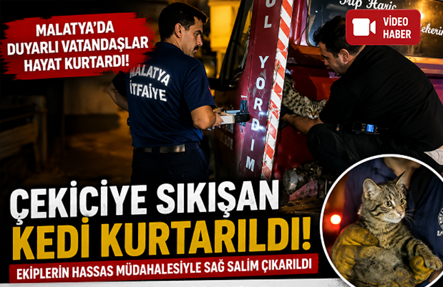Malatya’da Çekiciye Sıkışan Kedi Kurtarıldı