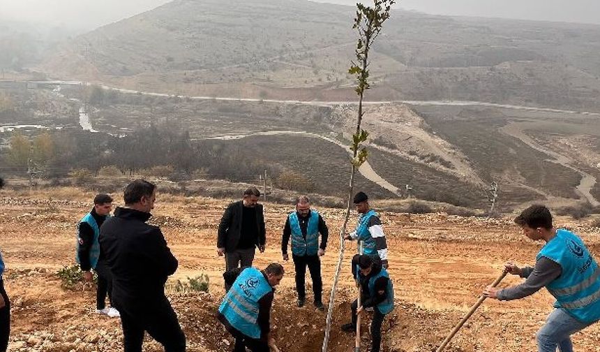 Ülkü Ocakları Malatya İl Başkanlığı'ndan Fidan Dikimi: Geleceğe Yeşil Miras