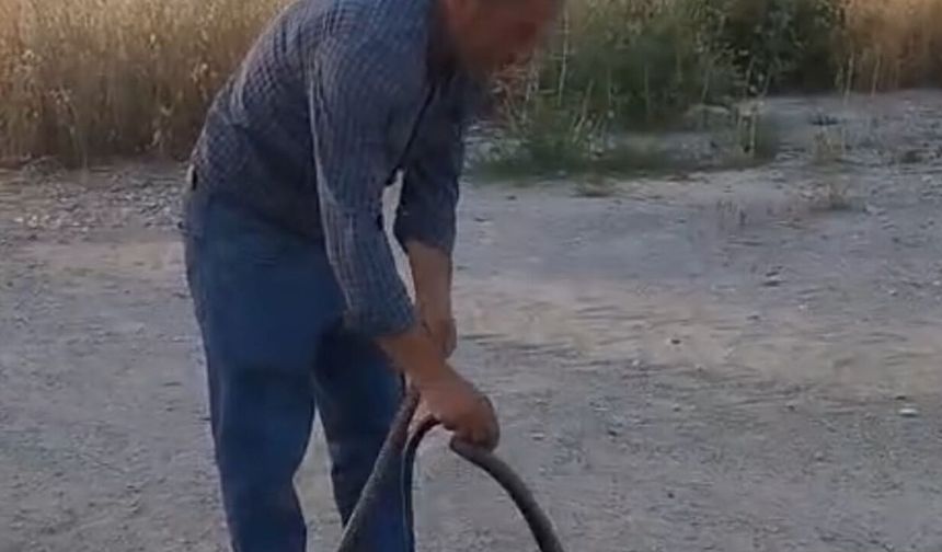 Muhtar, evlere giren yılanları eliyle yakalayıp doğaya bırakıyor