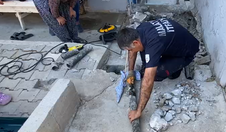 Cafana’da Boruya Sıkışan Kediye İtfaiye Nefes Oldu