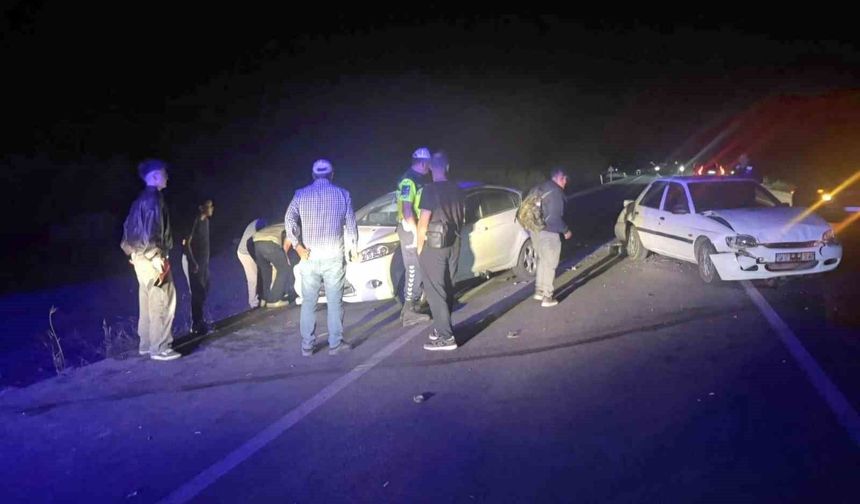 1'i çocuk 3 kişi yaralandı, 6 koyun telef oldu