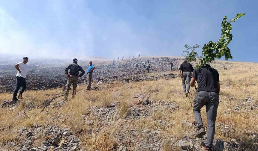 Doğanşehir ilçesinde anız yangını