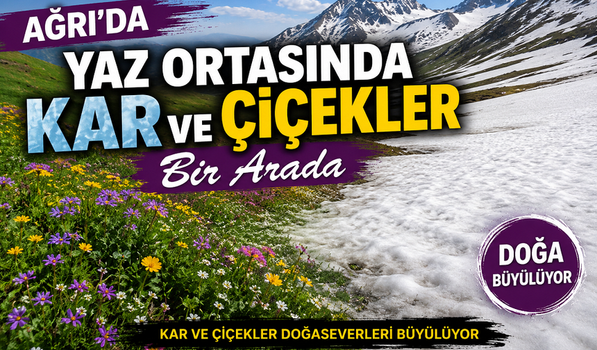 Ağrı’da Yaz Ortasında Kar ve Çiçekler Bir Arada