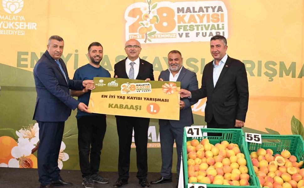 'En İyi Kayısı' yarışması düzenlendi