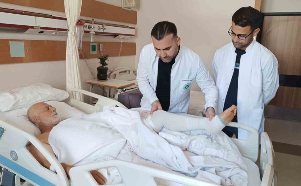 Kayısı ağacından düşerek ağır yaralandı