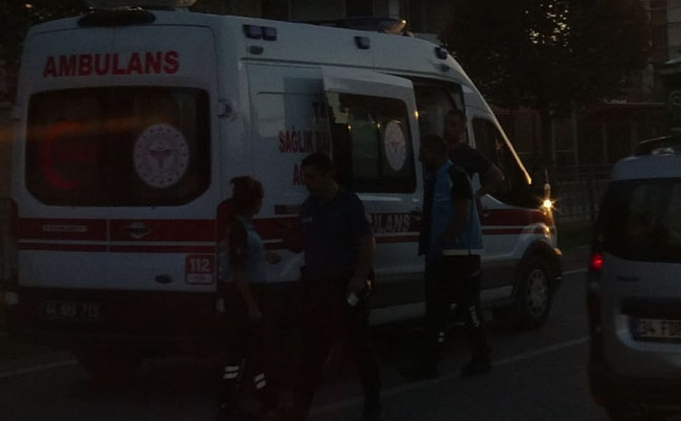 Hafif ticari araç aydınlatma direğine çarptı: 2 yaralı