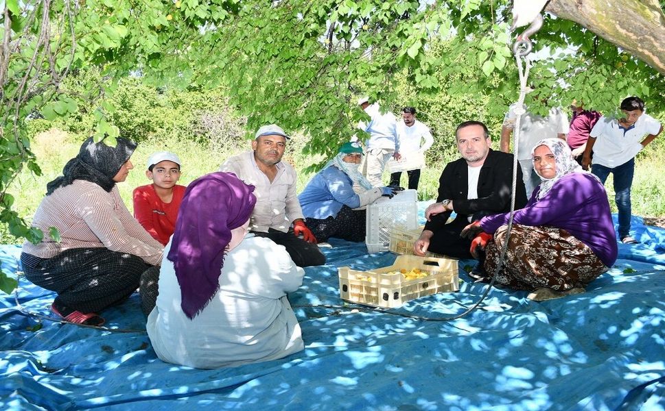 Karademir: Yeniden güçlü bir Kayısı Birliği'ne ihtiyacı var