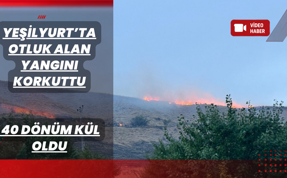 170 Dönümlük Sahada Yangın: 40 Dönüm Kül Oldu