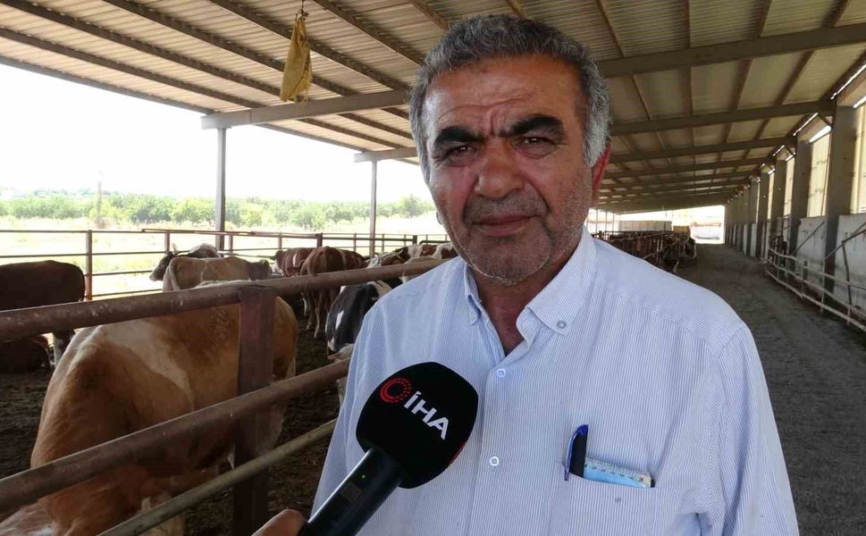 Malatya'dan Türkiye'ye damızlık düve desteği