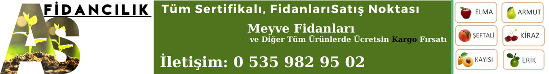 Reklam Bloğu