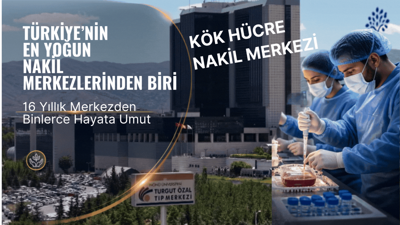 Kök Hücre Naklinde Rekor Hedefi: Yıl Sonu 200’e Yaklaşıyor